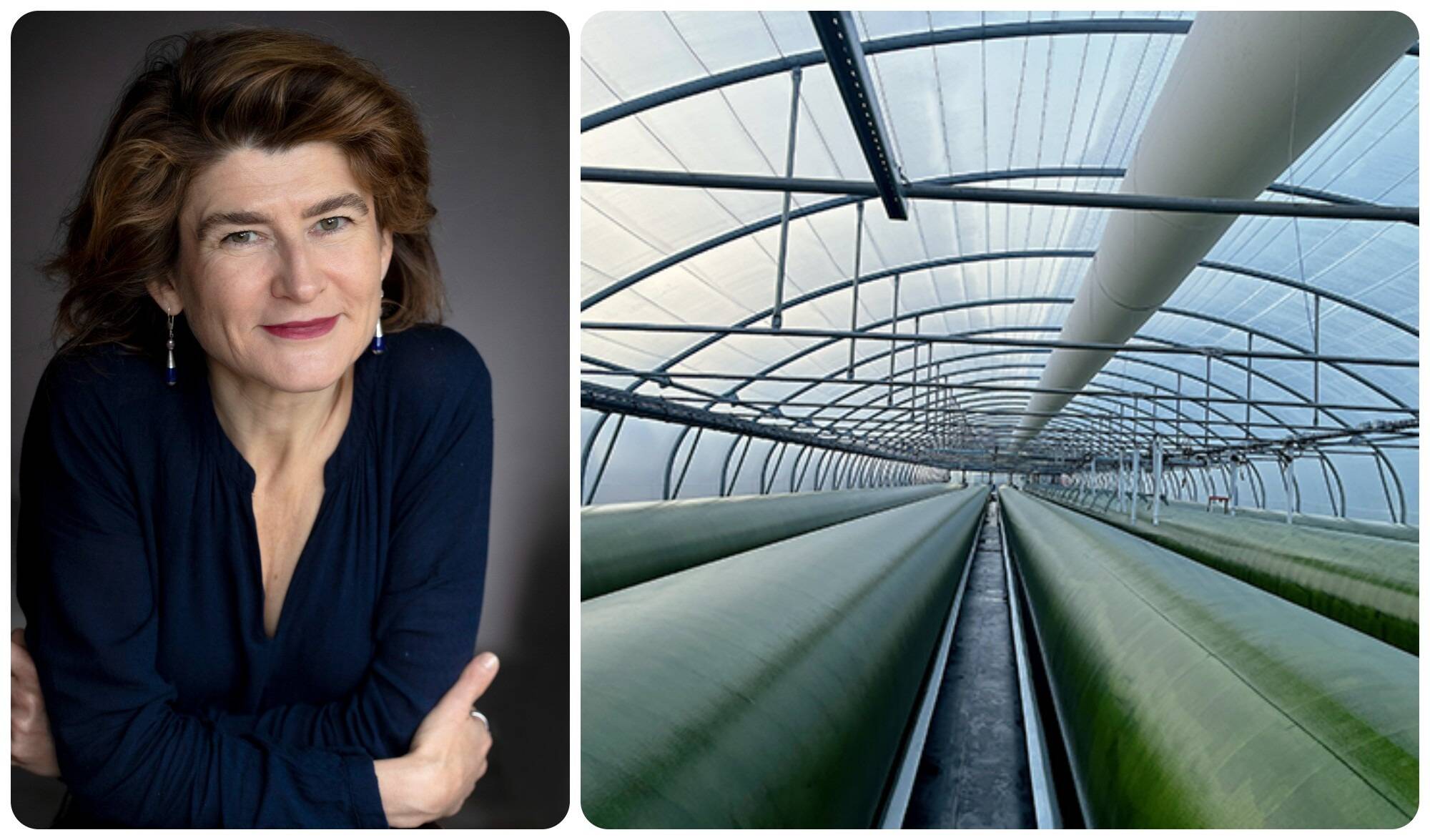 La Niçoise Inalve lève 4,7 millions d'euros pour accélérer son développement