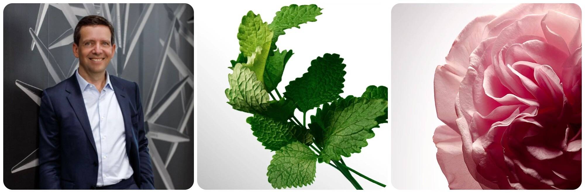 Les comptes sont au vert pour le Grassois Robertet.