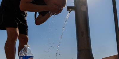Peut-on venir en short au bureau, comment rafraîchir nos animaux, où aller pour échapper à la chaleur? Tous nos articles pour tenter de survivre à la canicule