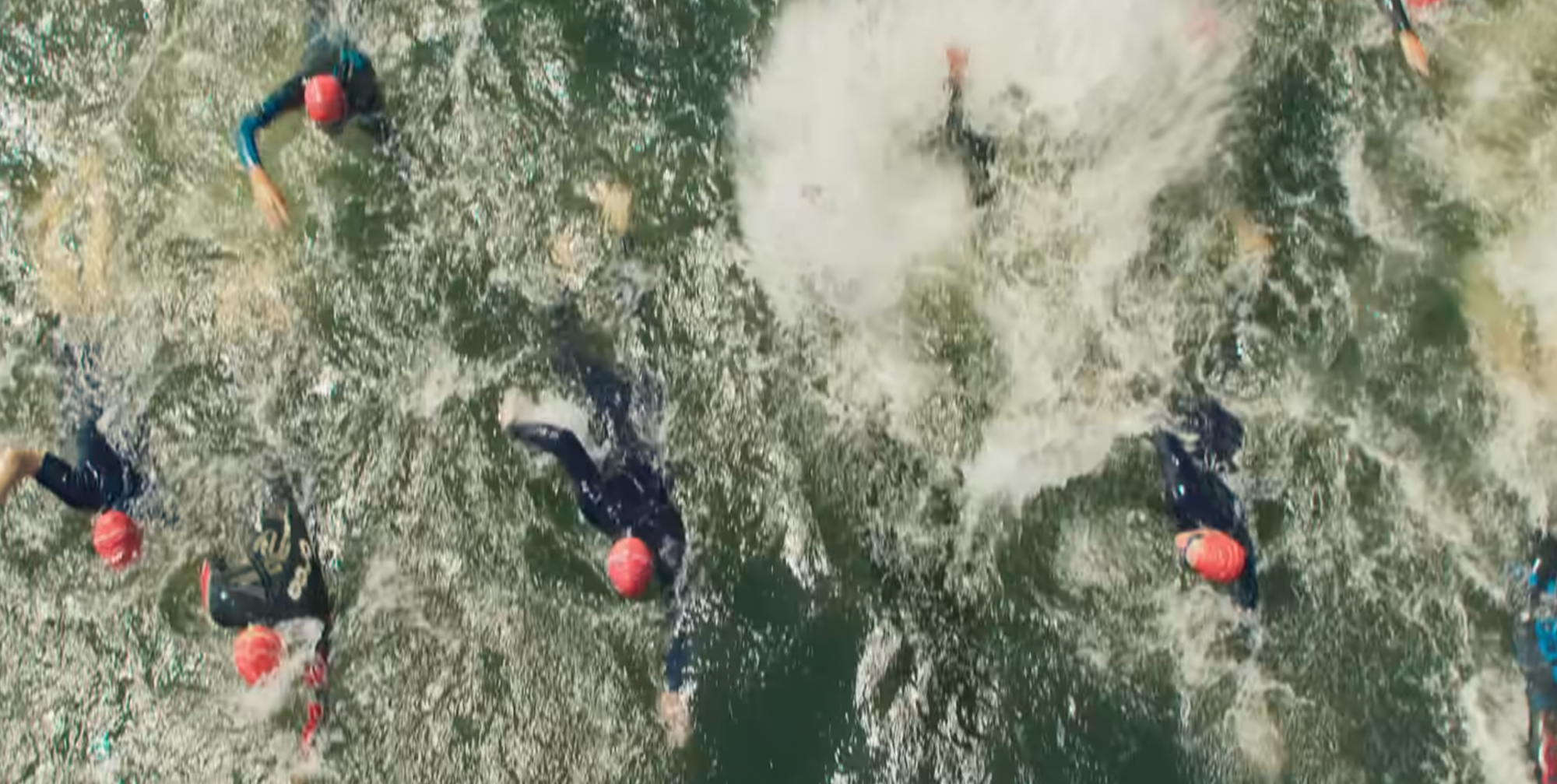 Un requin dans la Seine? C'est le thème d'un prochain blockbuster sur Netflix qui sortira avant les Jeux olympiques