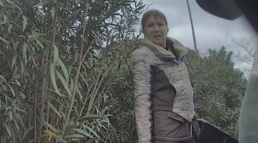 VIDEO. Le véhicule était mal garé à Cogolin: l'adjointe au maire s'en prend à une Tesla