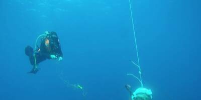 Un engin explosif neutralisé au large de la Corse, une équipe de plongeurs-démineurs déployée depuis Hyères