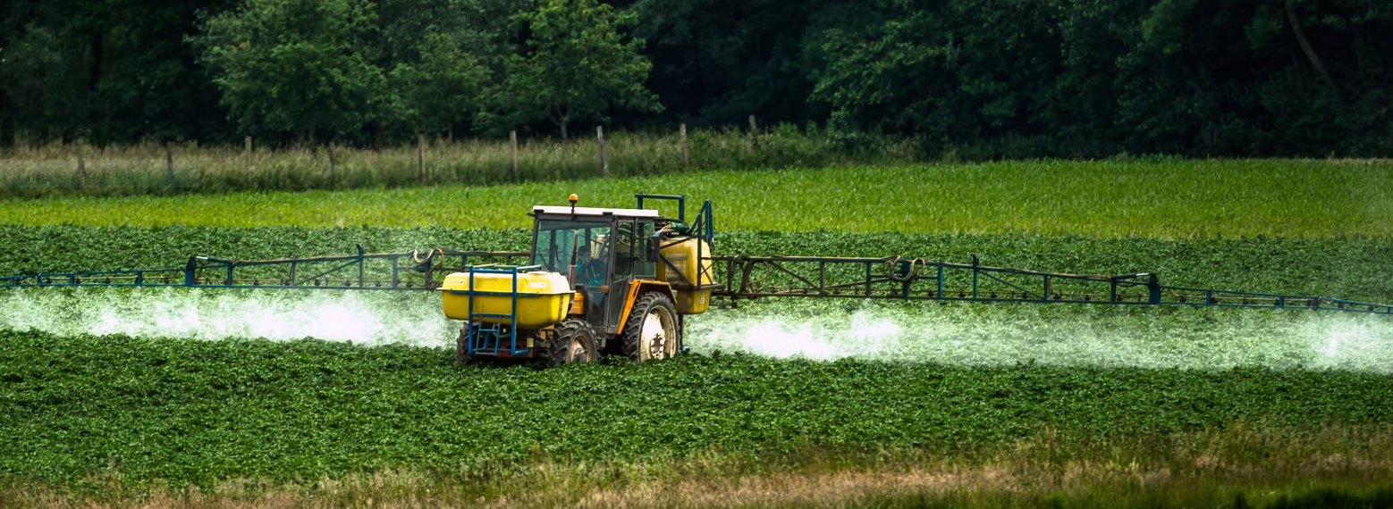 Des traces de pesticides retrouvées dans les corps d'enfants habitant dans une plaine agricole près de La Rochelle