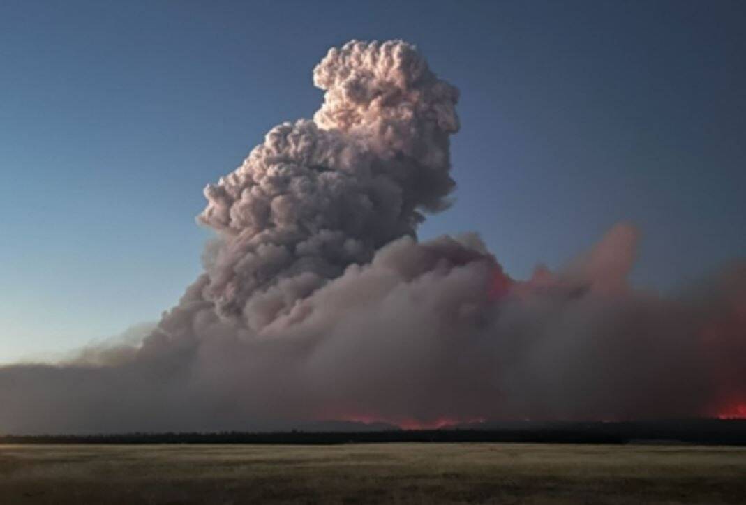 Plus de 3.500 personnes évacuées, 1.150 pompiers mobilisés: le premier "mégafeu" de l'année en Californie se propage très vite