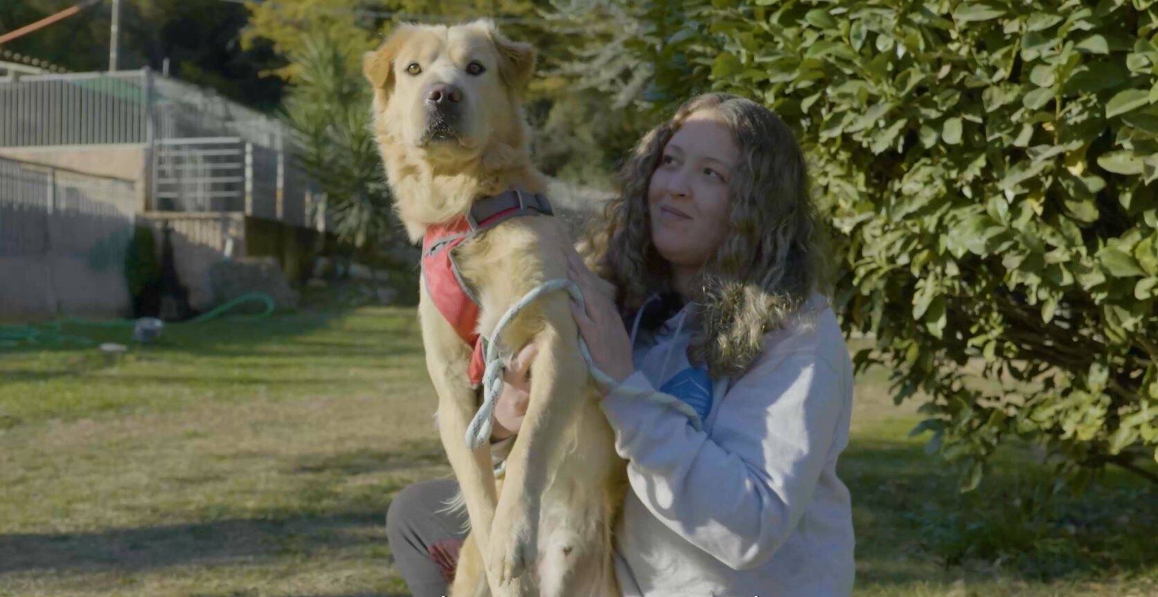Vidéo: adopter un chien, ça va changer quoi dans votre vie?