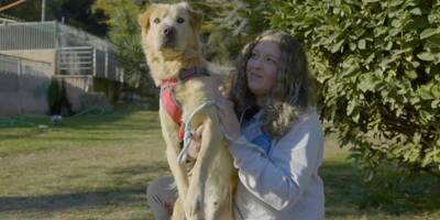 Vidéo: adopter un chien, ça va changer quoi dans votre vie?