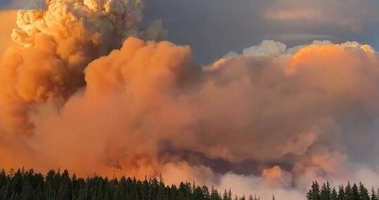 46.000 hectares partis en fumée, des structures emblématiques détruites... ce que l'on sait sur "Dragon Bravo", le méga-feu qui ravage le Grand Canyon