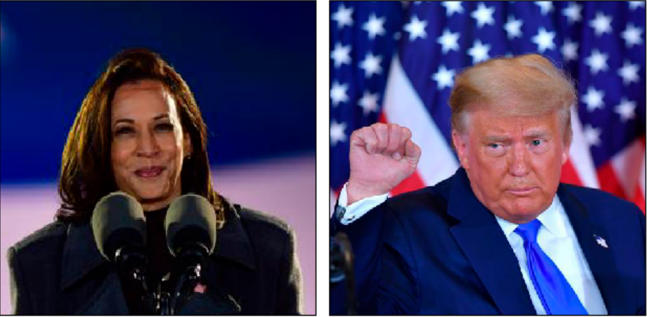 Kamala Harris contre Donald Trump: ce que voteraient ces élus de la Côte d'Azur