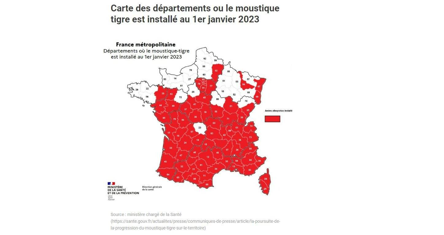 Santé Publique France a recensé 154 cas de dengue en France dont 16 en PACA depuis le mois de mai