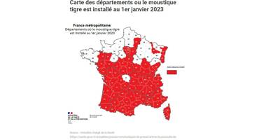 Santé Publique France a recensé 154 cas de dengue en France dont 16 en PACA depuis le mois de mai