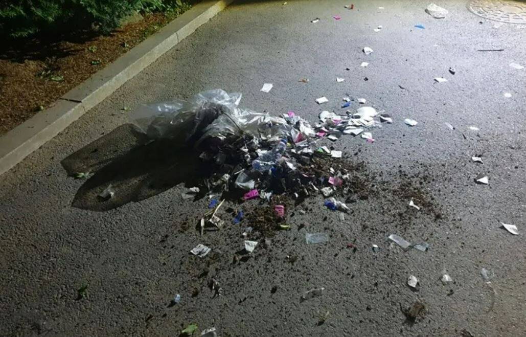 Des sacs remplis de déchets et d'excréments... La Corée du Nord envoie des ballons garnis d'immondices au Sud