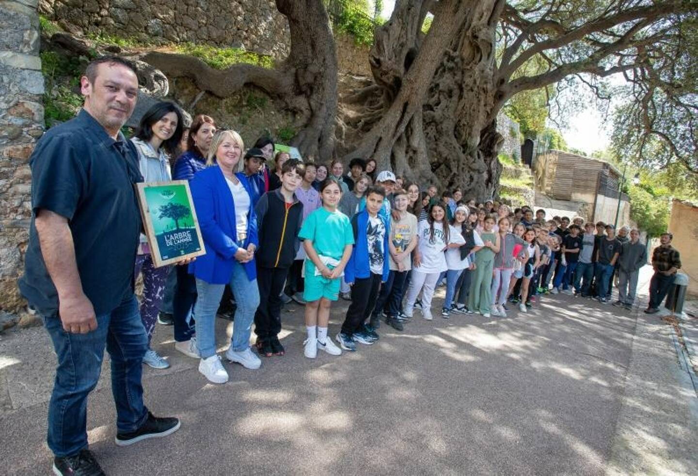 Les élèves de l'école internationale de Manosque sont venus découvrir l'olivier millénaire de Roquebrune-Cap-Martin, qu'ils ont défendu lors du concours de l'arbre de l'année 2023.