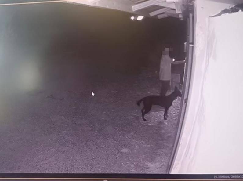 "Lamentable, abject et tellement triste": un adolescent abandonne son chien au refuge de Roquebrune-sur-Argens pendant la nuit et suscite l'indignation