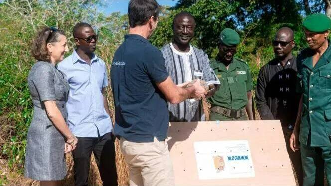 Les 46 tortues transférées de Monaco au Sénégal sont arrivées à bon port