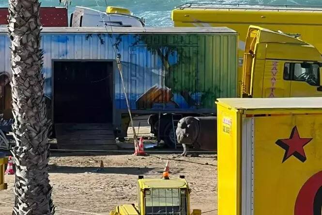 "On voit un hippopotame enfermé dans un container, les fauves hurlent toute la nuit": à Six-Fours, la fronde augmente autour du cirque