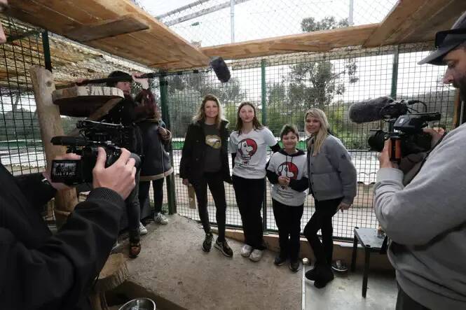Après l'arrêt de C8, l'émission "Animaux à adopter" rebondit sur TMC