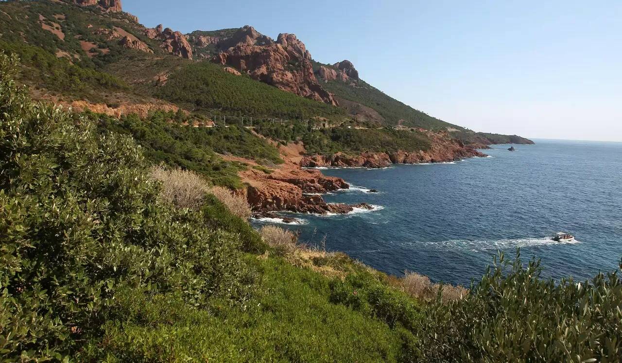 Un sexagénaire gravement blessé après un accident de plongée à Saint-Raphaël