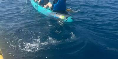 Il lance un appel à témoins pour ses kayaks volés à l'Espace mer et littoral à Antibes