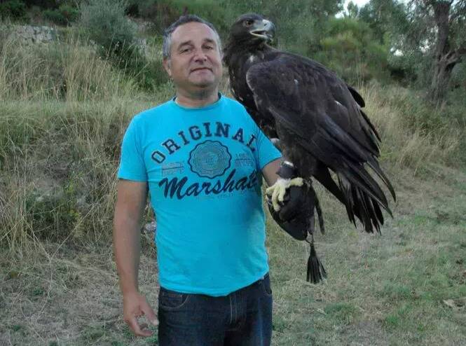 "Il ne peut pas disparaître comme ça": le berger de Carros recherche son aigle royal désespérément