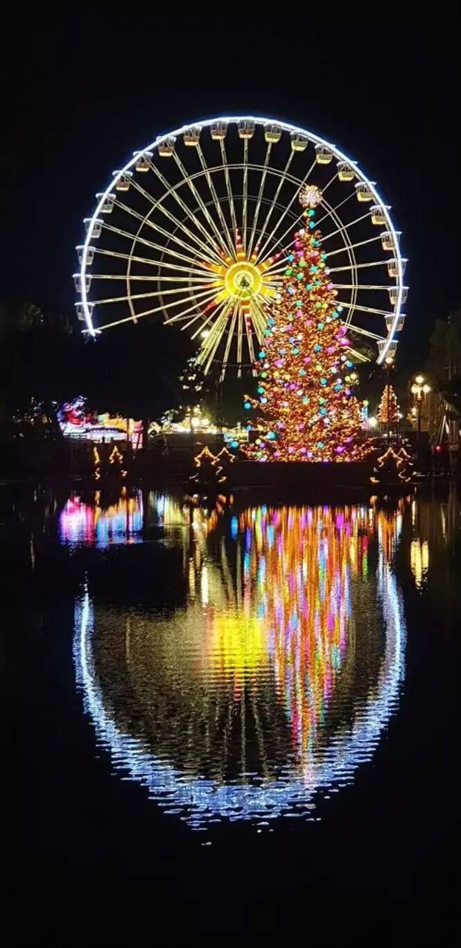 Sapin, Père Noël et ourson géant, illuminations... On vous dit ce que vont devenir les décorations de Noël de la ville de Nice