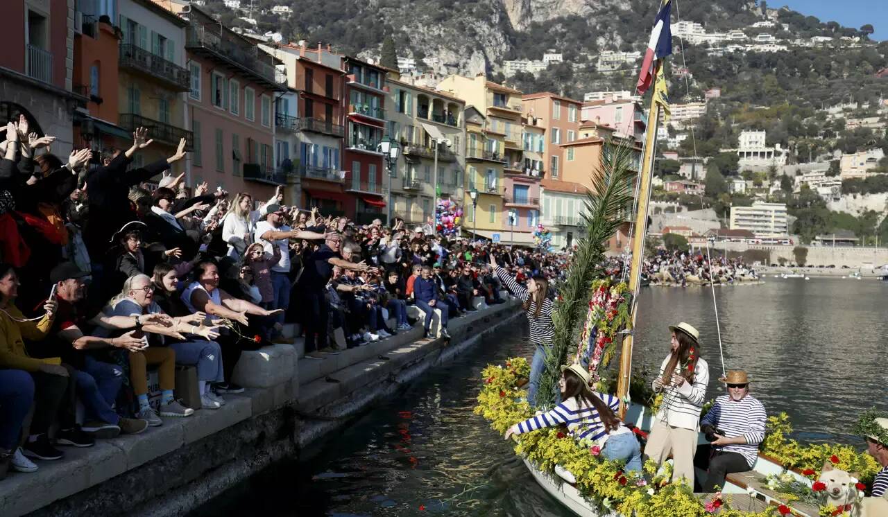 60.000 Sillets et une tonne de mimosa pour le prochain combat naval fleuri de Villefranche-sur-Mer