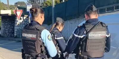 200 gendarmes, 1.500 personnes contrôlées, 275 infractions... Ce que l'on sait du méga contrôle de la gendarmerie ce vendredi dans les Alpes-Maritimes