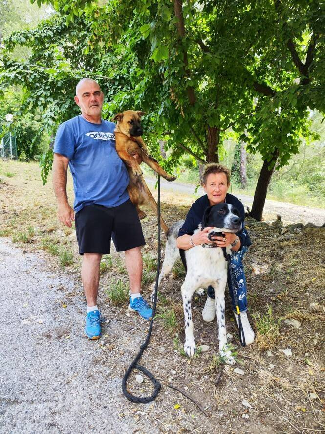 Etat des lieux, projets... Après cinq ans sous administration judiciaire, la société de défense des animaux se relève à Nice