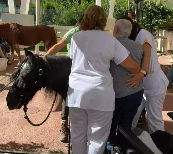 "Les patients les plus atteints nous réservent de belles surprises": quand la médiation animale apporte des bienfaits chez les malades d'Alzheimer au CHPG de Monaco