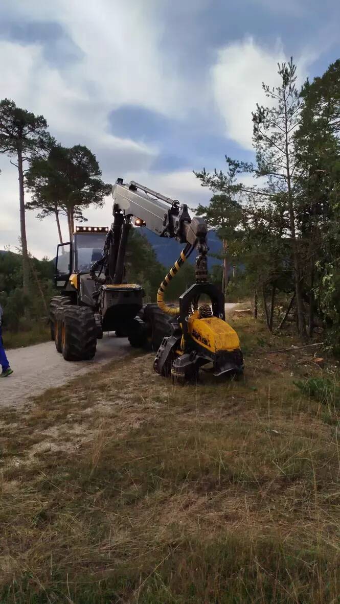 Parc solaire à Séranon: l'abattage des arbres a repris ce lundi, les défenseurs de l'environnement en colère