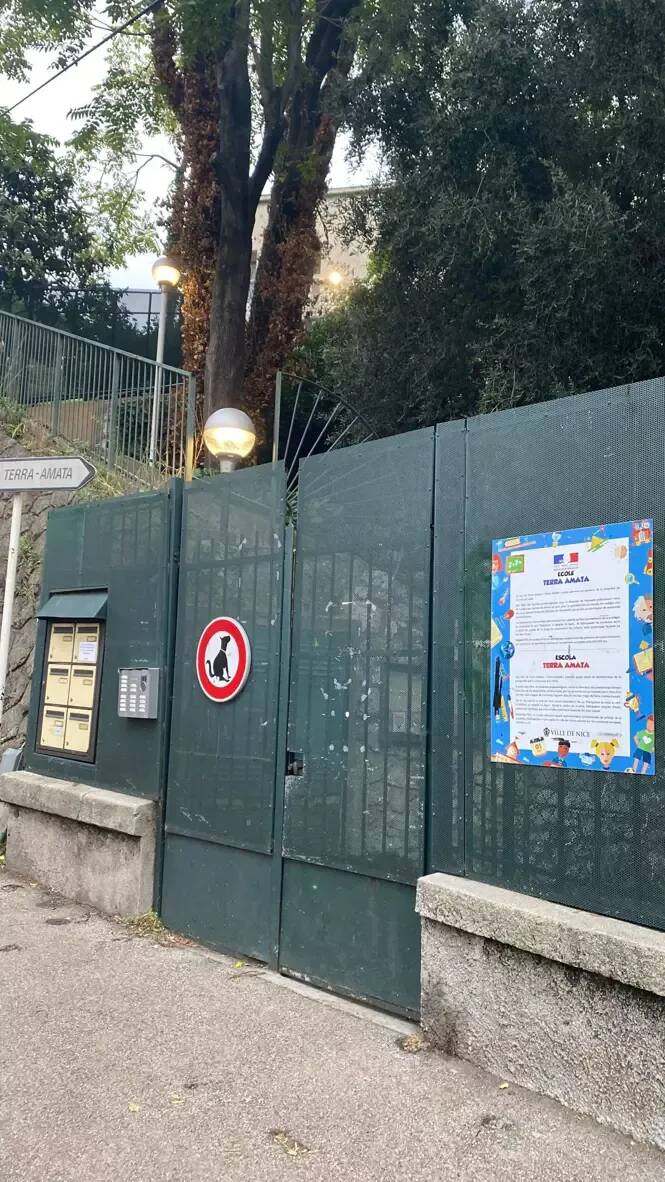 Un arbre chute aux abords d'une école de Nice sans faire de victime heureusement