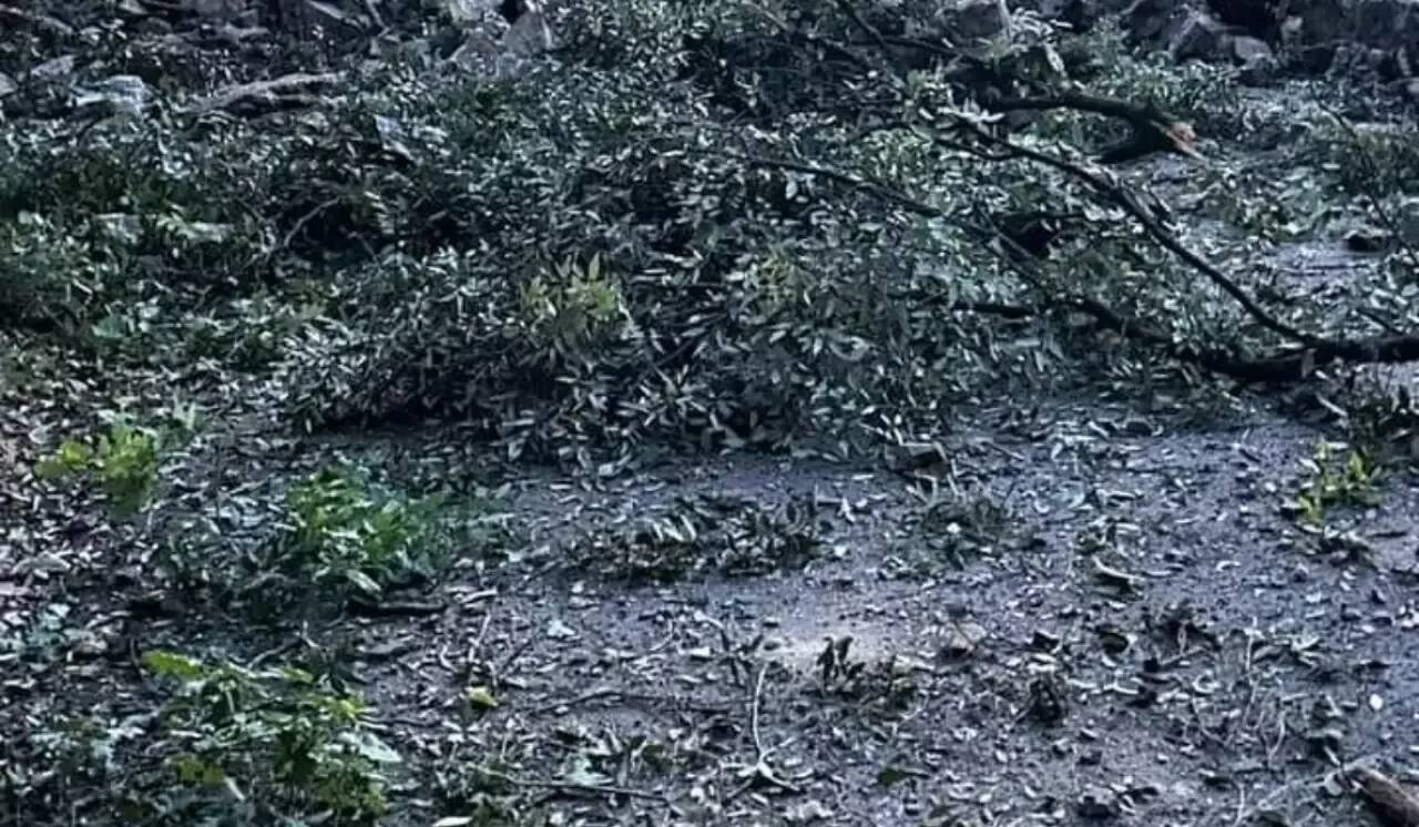 Après avoir été coupée pendant plusieurs jours en raison d'un éboulement, cette route de l'arrière-pays niçois finalement rouverte à la circulation