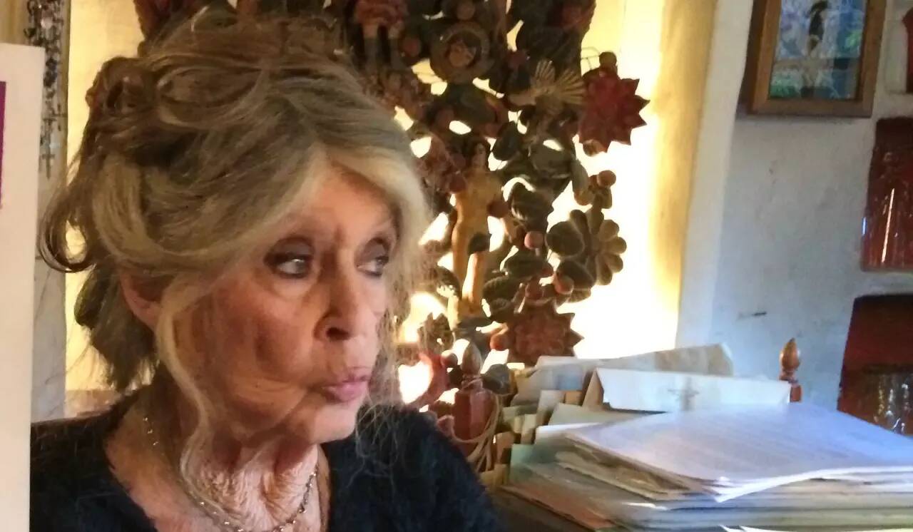 "Il y a toujours des cons qui me courent derrière": Brigitte Bardot en a marre des gens qui essayent de l'apercevoir chez elle à Saint-Tropez