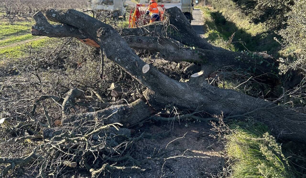Marchés de Noël fermés, animations annulées... On fait le point sur les fermetures et annulations liées aux fortes rafales de vent dans le Var