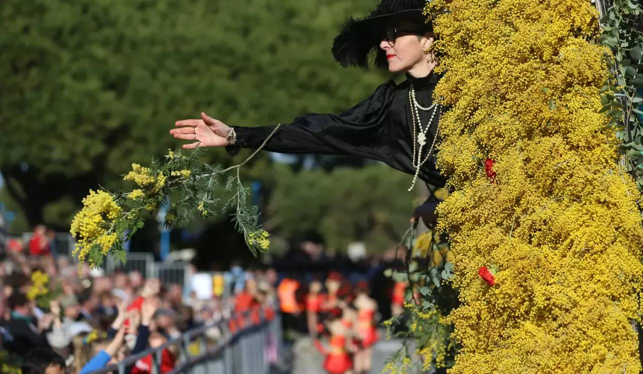 Fête du mimosa à Mandelieu: tout ce qu'il faut savoir pour bien circuler et accéder aux animations