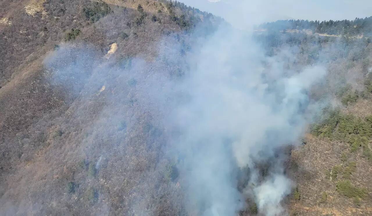 Incendie près de Marseille: de sérieuses alertes dans le Var ces derniers jours, 380 ha brûlés dans la Roya début mars