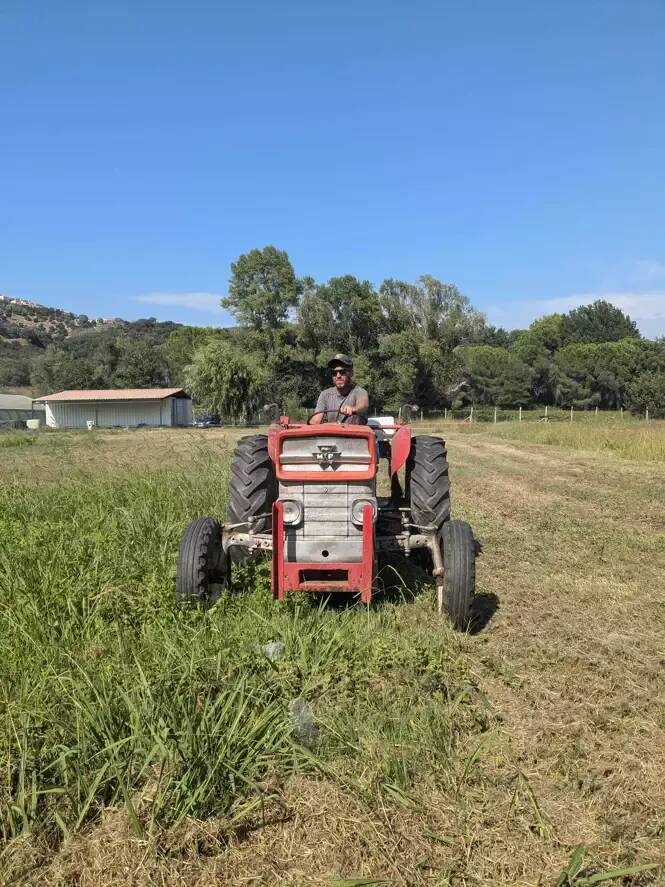 "Répondre à un enjeu fort", "réduire notre dépendance alimentaire": comment cette ville part à la reconquête agricole en installant de nouveaux agriculteurs