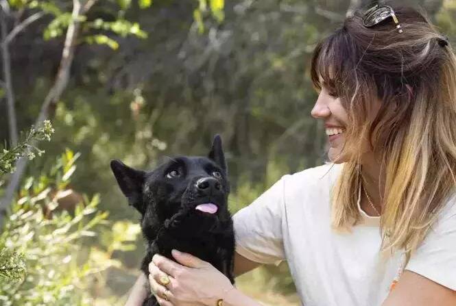 "On a fait ce qu'on devait faire pour protéger les gens": malgré la grosse mobilisation, le chien mordeur Smoke a été euthanasié dans le Var