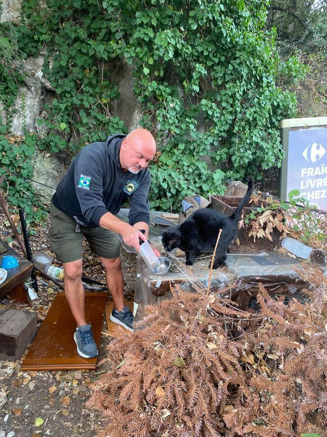 "On est en droit d'attendre que le service municipal du bien-être animal soigne les chats blessés ou à l'agonie": à Nice, il aide les chats errants, mais se sent abandonné