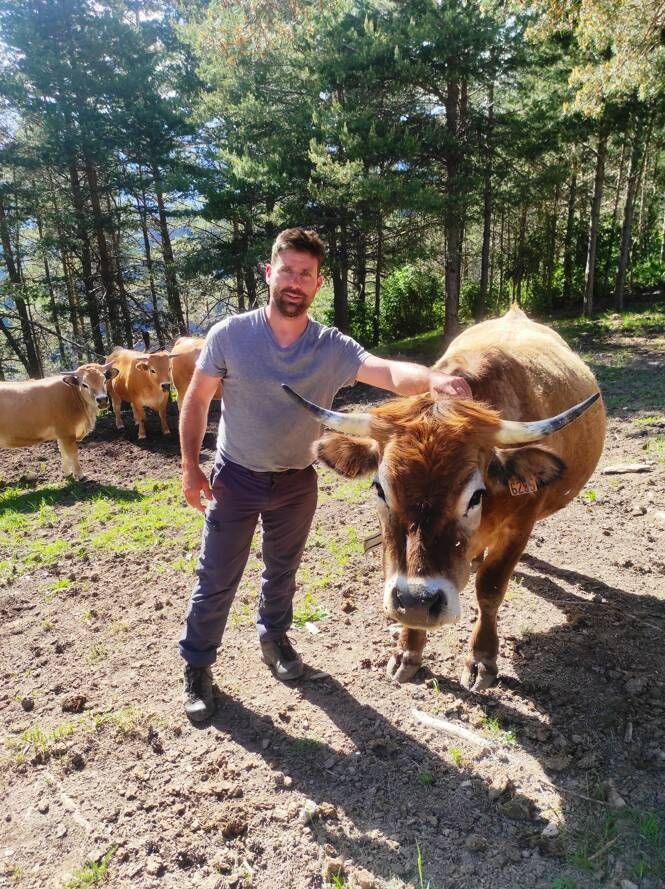 "Tout ça, c'était loin d'être gagné": sans expérience, il s'est reconverti en éleveur et a redonné vie aux pâturages du haut pays Niçois