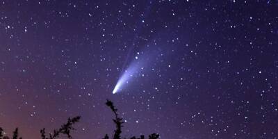 Une comète en visite dans le ciel dans quelques jours pour la première fois depuis 50.000 ans