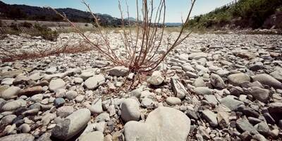 La sécheresse dans les Alpes-Maritimes en avril 2023 est digne d'un mois de juin selon Météo France