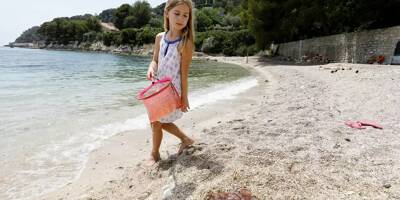 Attention, les méduses sont de retour en nombre au large des plages de la Côte d'Azur
