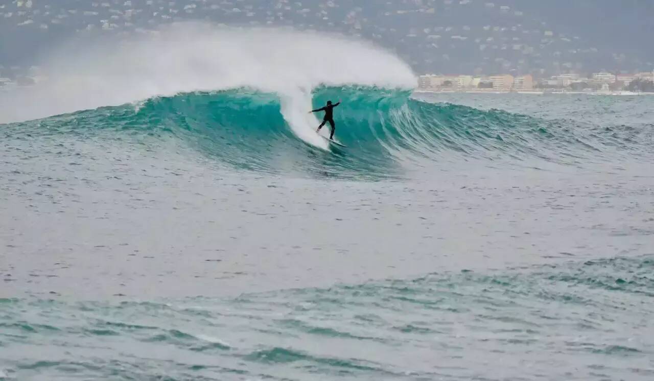 "Son corps dans la gueule": la dépouille d'un surfeur attaqué par un grand requin blanc toujours recherchée