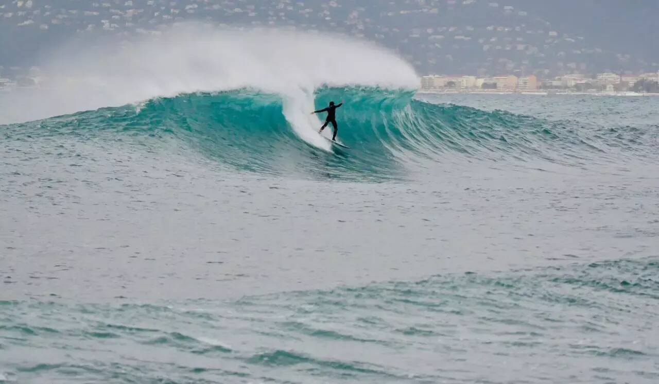 Un Australien écope d'une amende pour avoir surfé avec son python