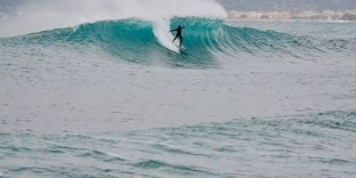 Un Australien écope d'une amende pour avoir surfé avec son python