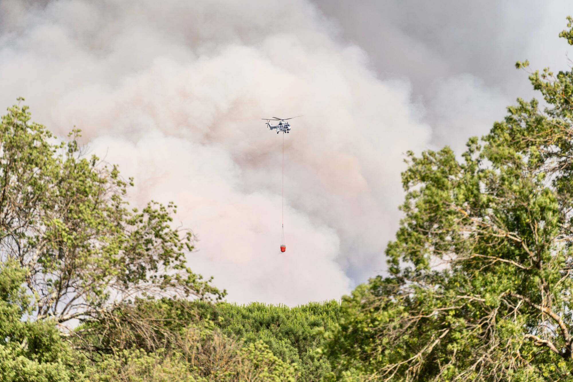 La météo pluvieuse du printemps aura-t-elle un impact sur les risques d'incendie cet été?