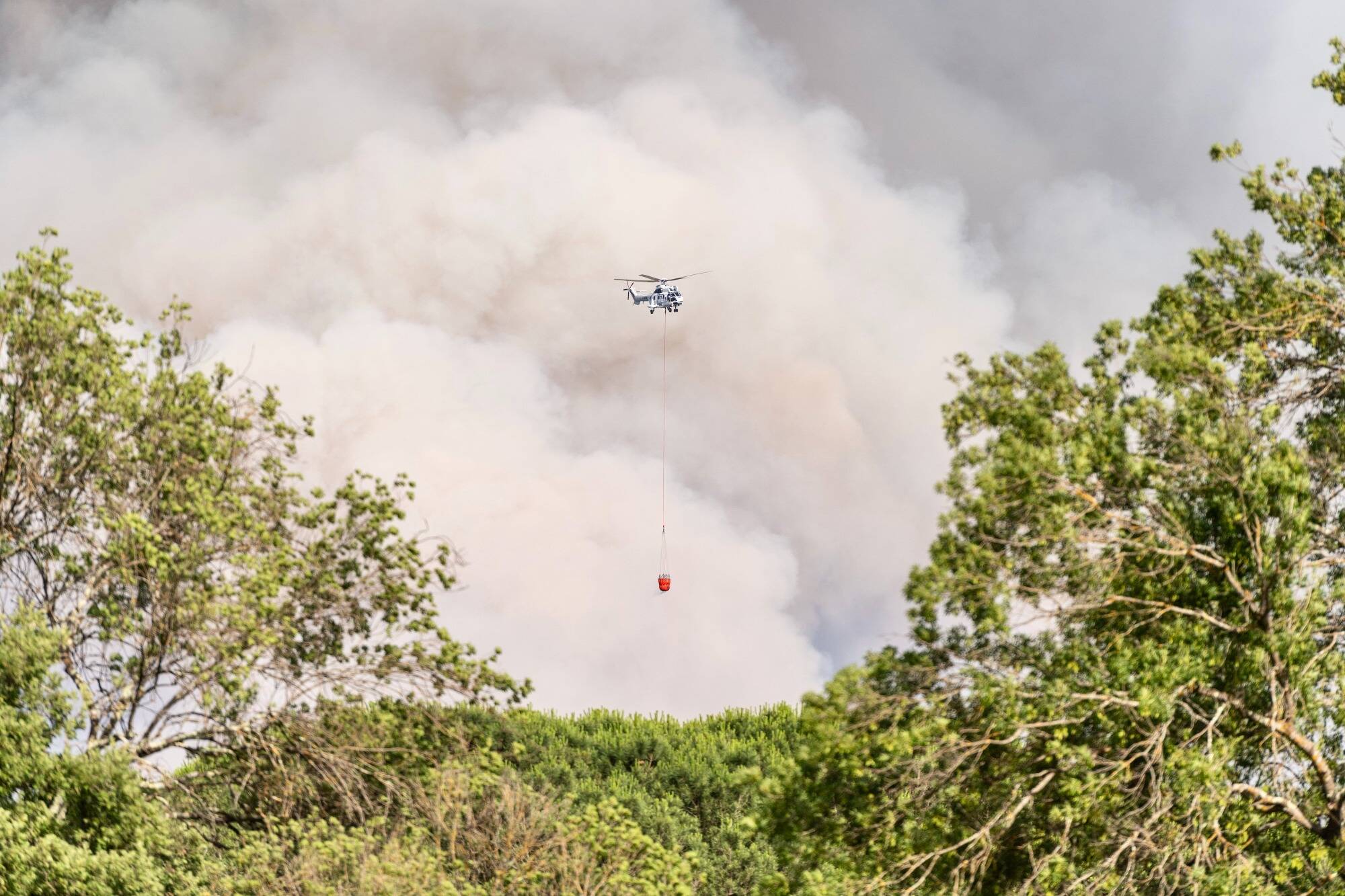 "La nuit va être compliquée": ce que l'on sait sur l'incendie qui a déjà ravagé 600 hectares dans le massif des Maures