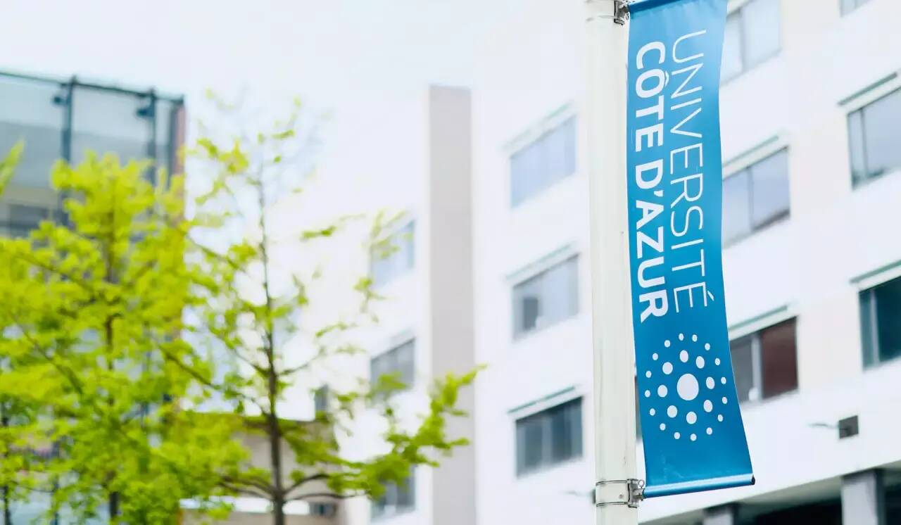 Parmi les meilleures du monde? Découvrez la place de l'Université Côte d'Azur dans le prestigieux classement de Shanghai 2025