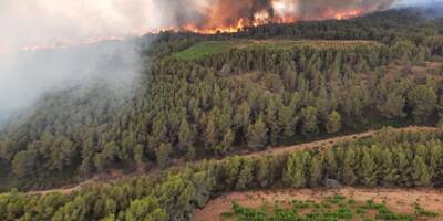 250 hectares détruits, des dizaines d'évacuations... Le point sur l'énorme feu de forêt près de Narbonne