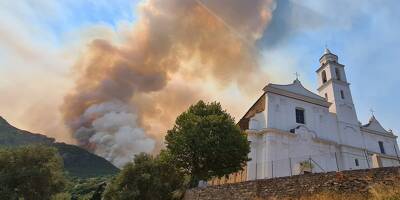 Haute-Corse: l'incendie qui a parcouru 